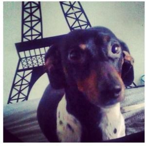 Meet your Posher, Sara